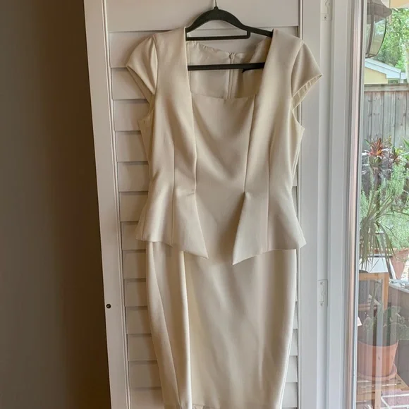 Zara fitted sheath dress - Picture 1 of 4